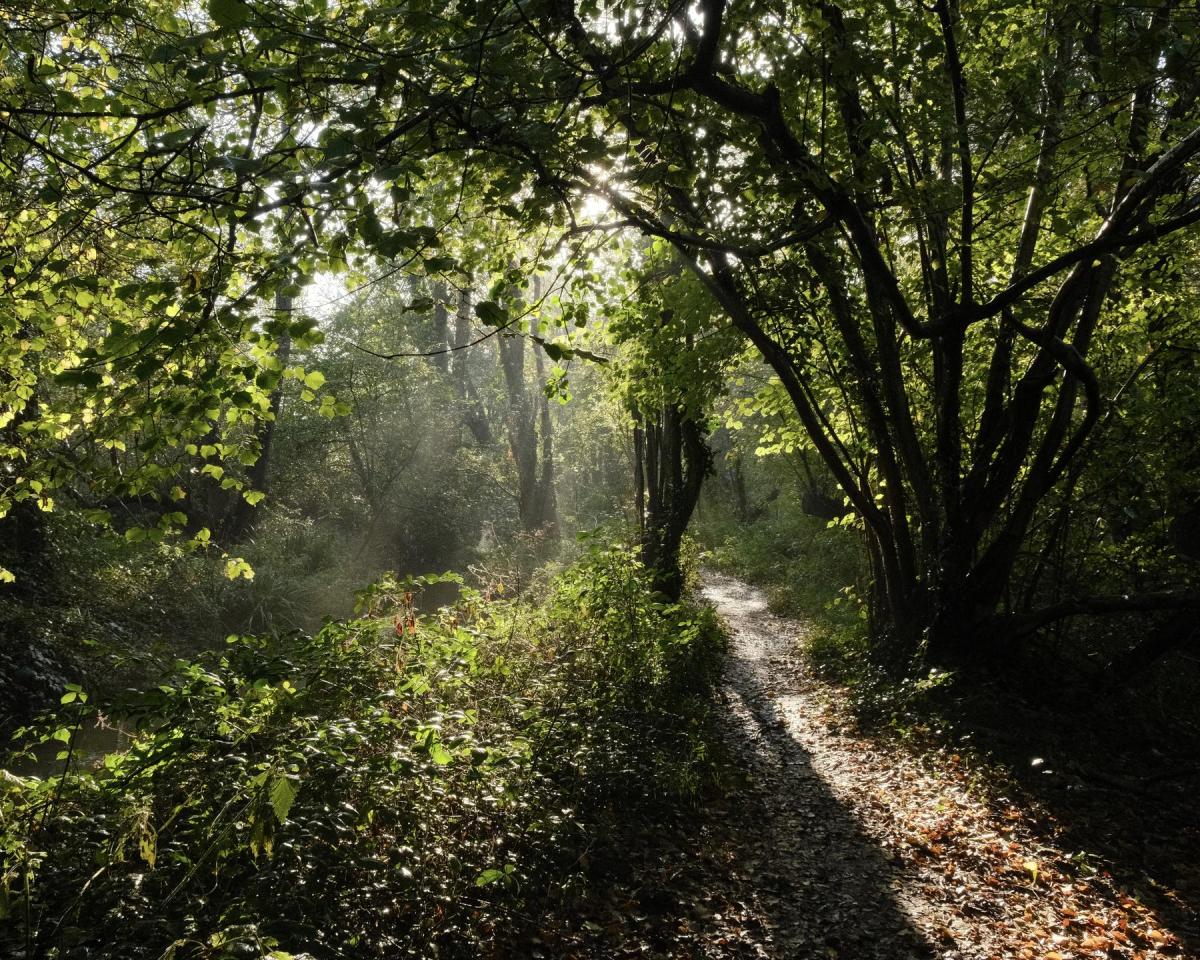 Valenwood, Film Recipe for&nbsp;Explorers