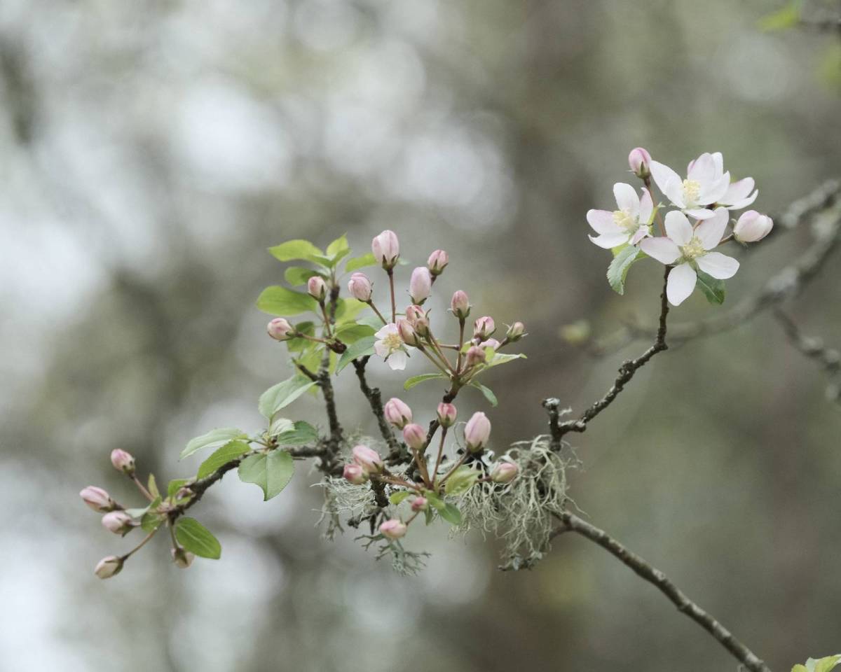 Amber T200, Faded Colour 35mm&nbsp;Film