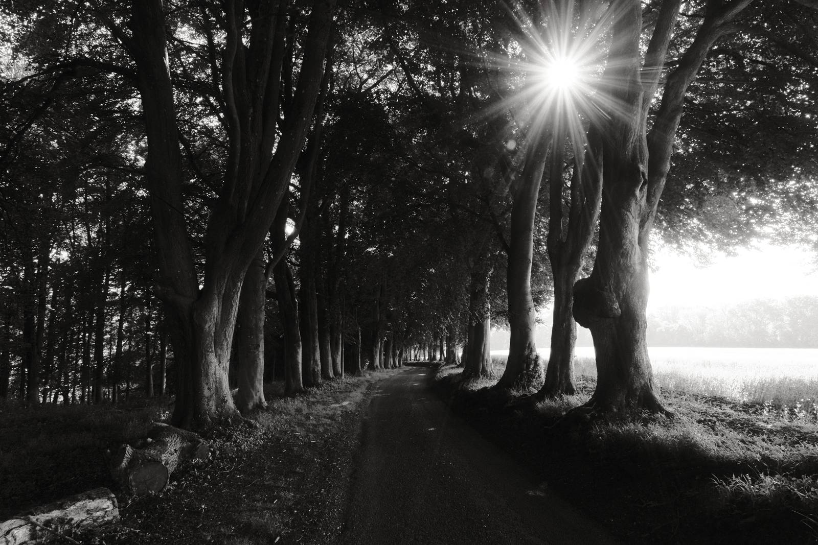 Olympic Acros film recipe sample photo
