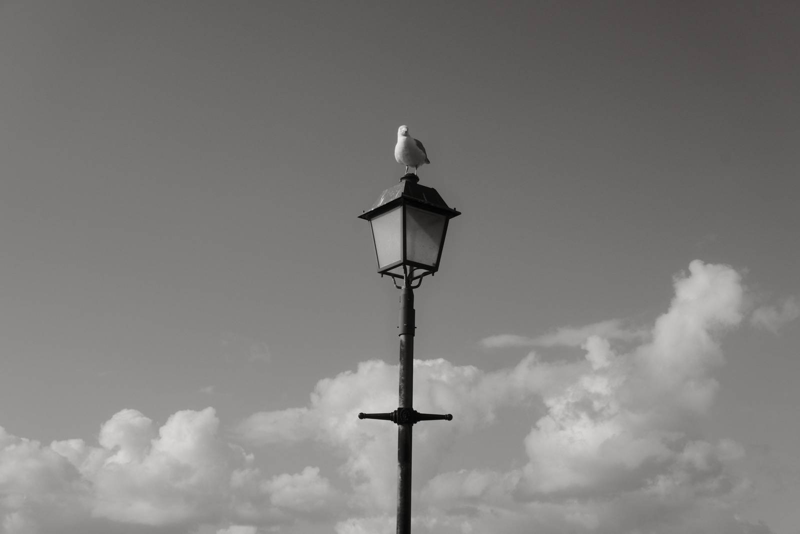 Olympic Acros film recipe sample photo