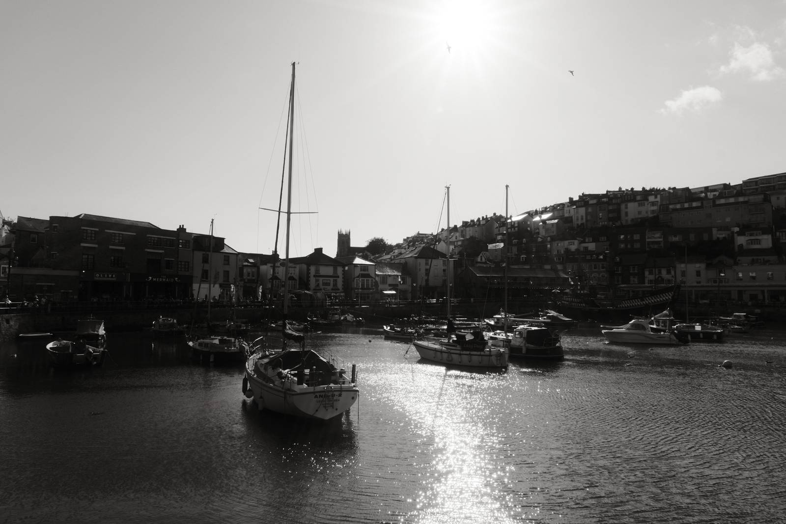 Olympic Acros film recipe sample photo