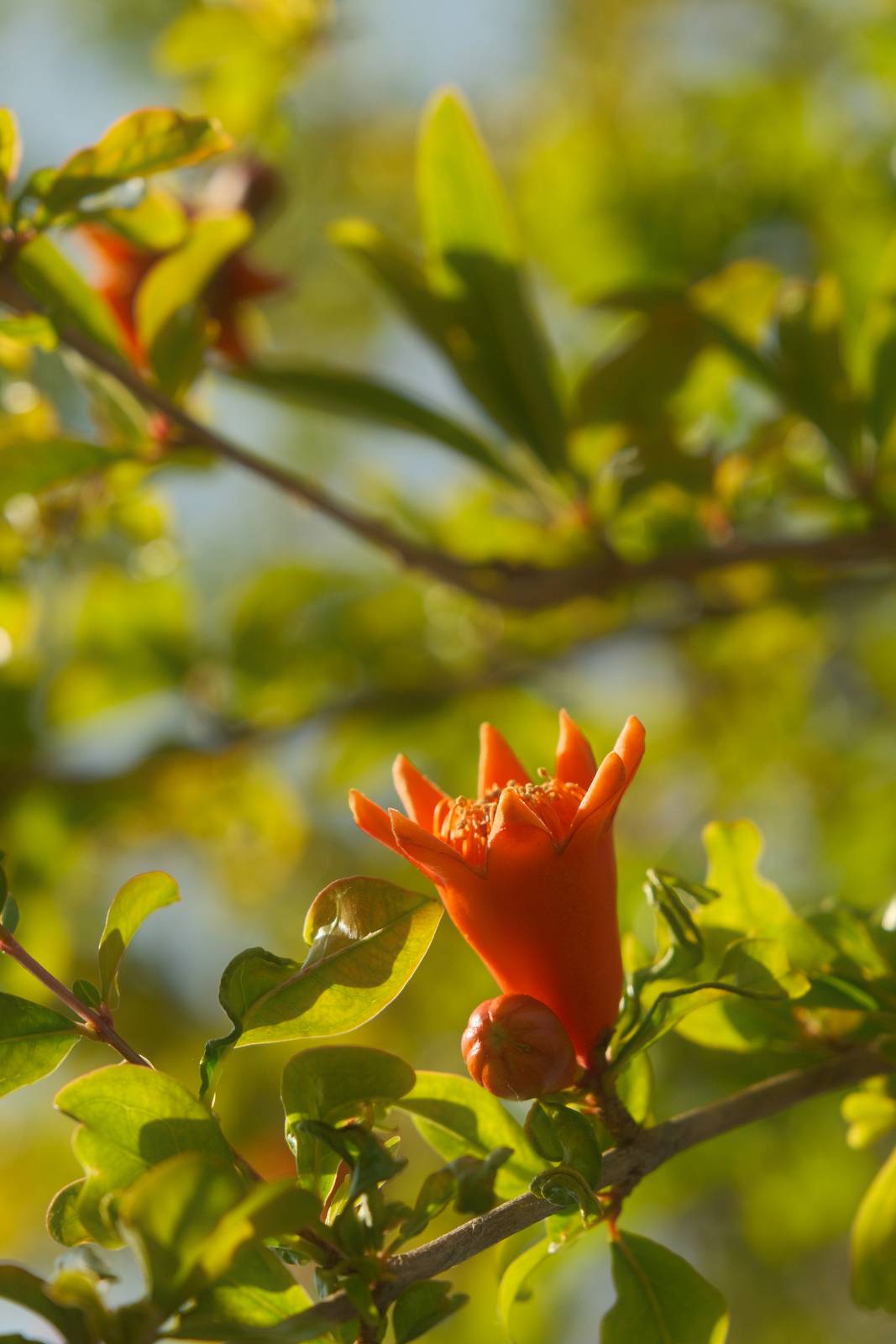 Daydream Believer film recipe sample photo