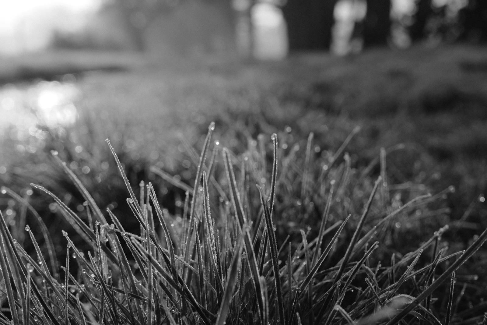 Tirolean Mono film recipe sample photo
