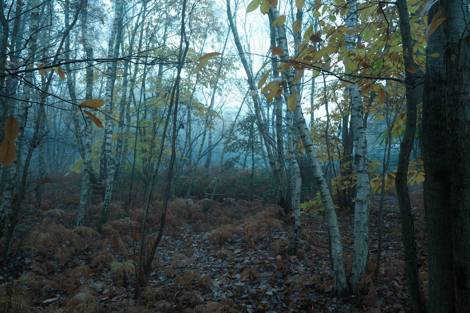 Eastman Color film recipe sample photo