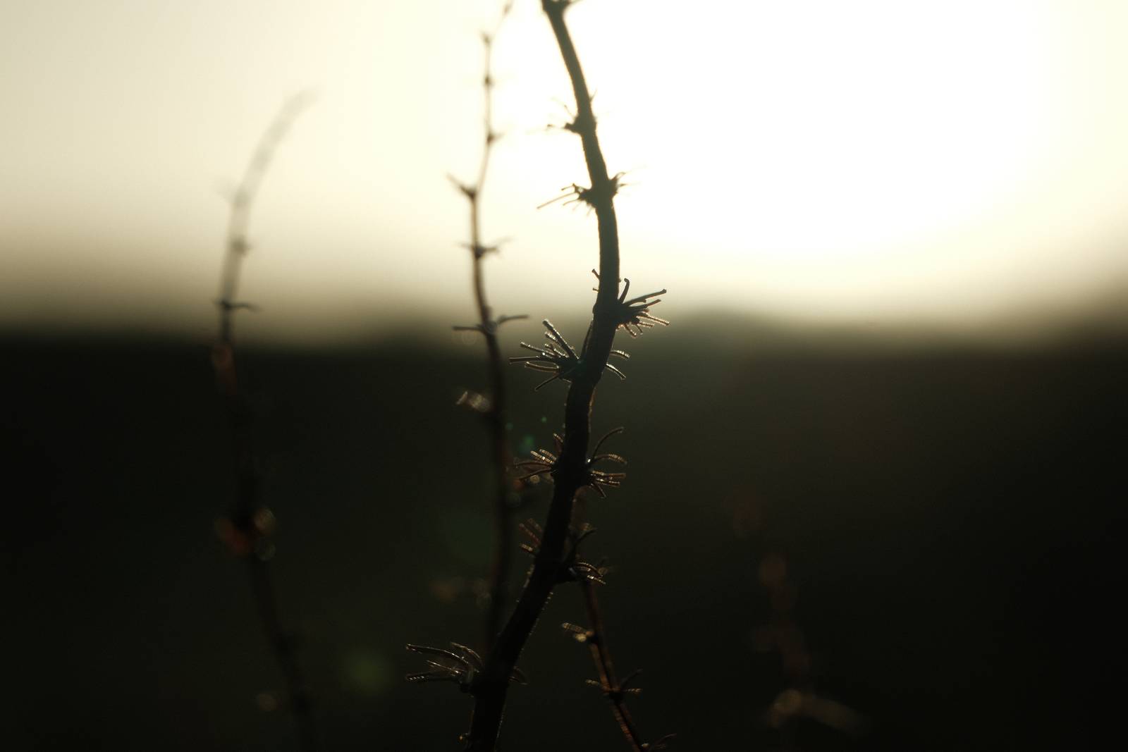 Eastman Color film recipe sample photo