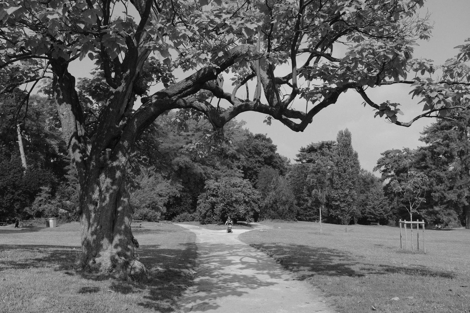Tirolean Mono film recipe sample photo