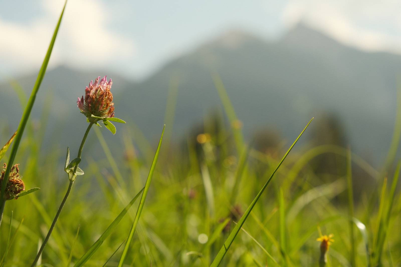 Kodak Portra 400 film recipe sample photo