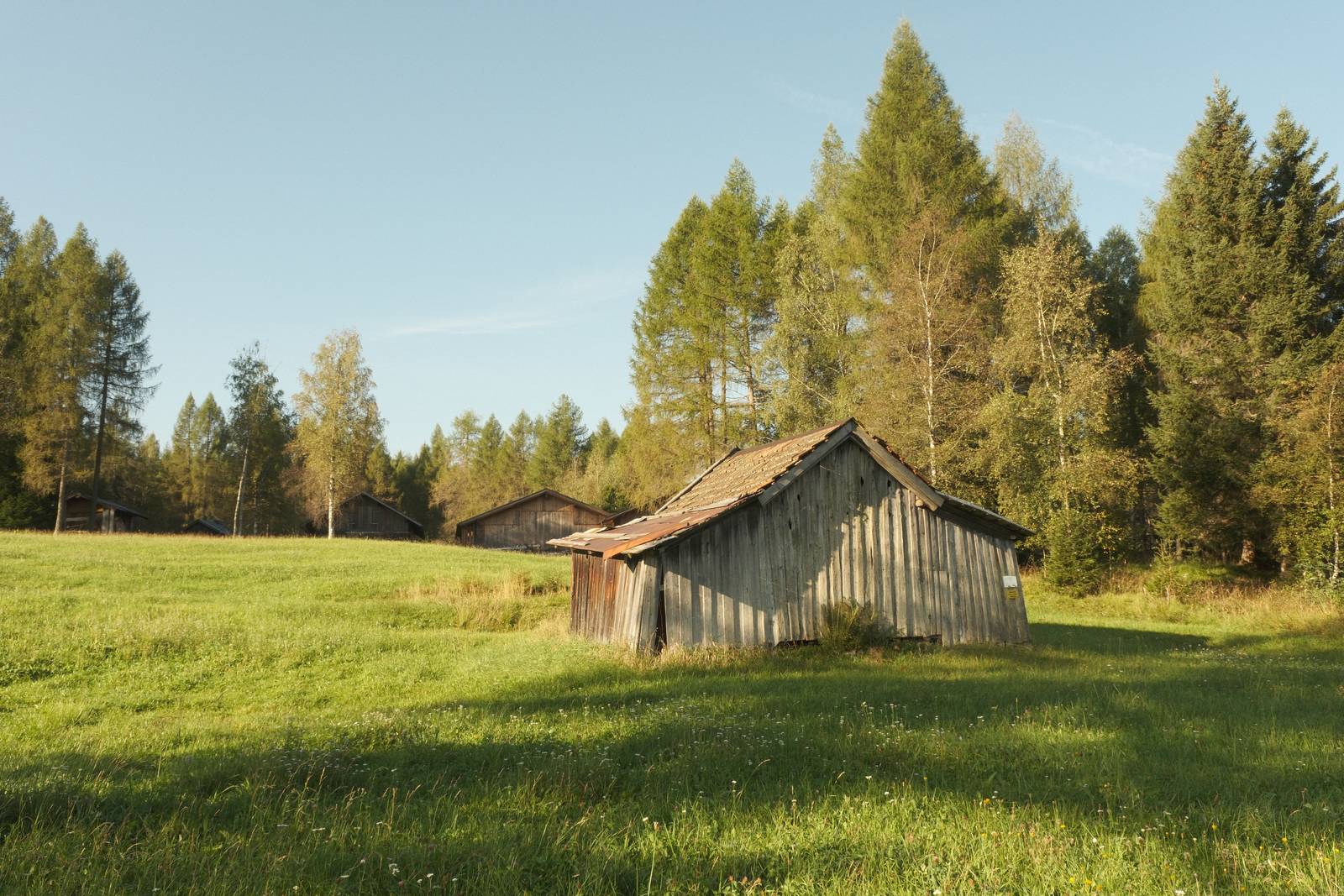 Kodak Portra 400 film recipe sample photo