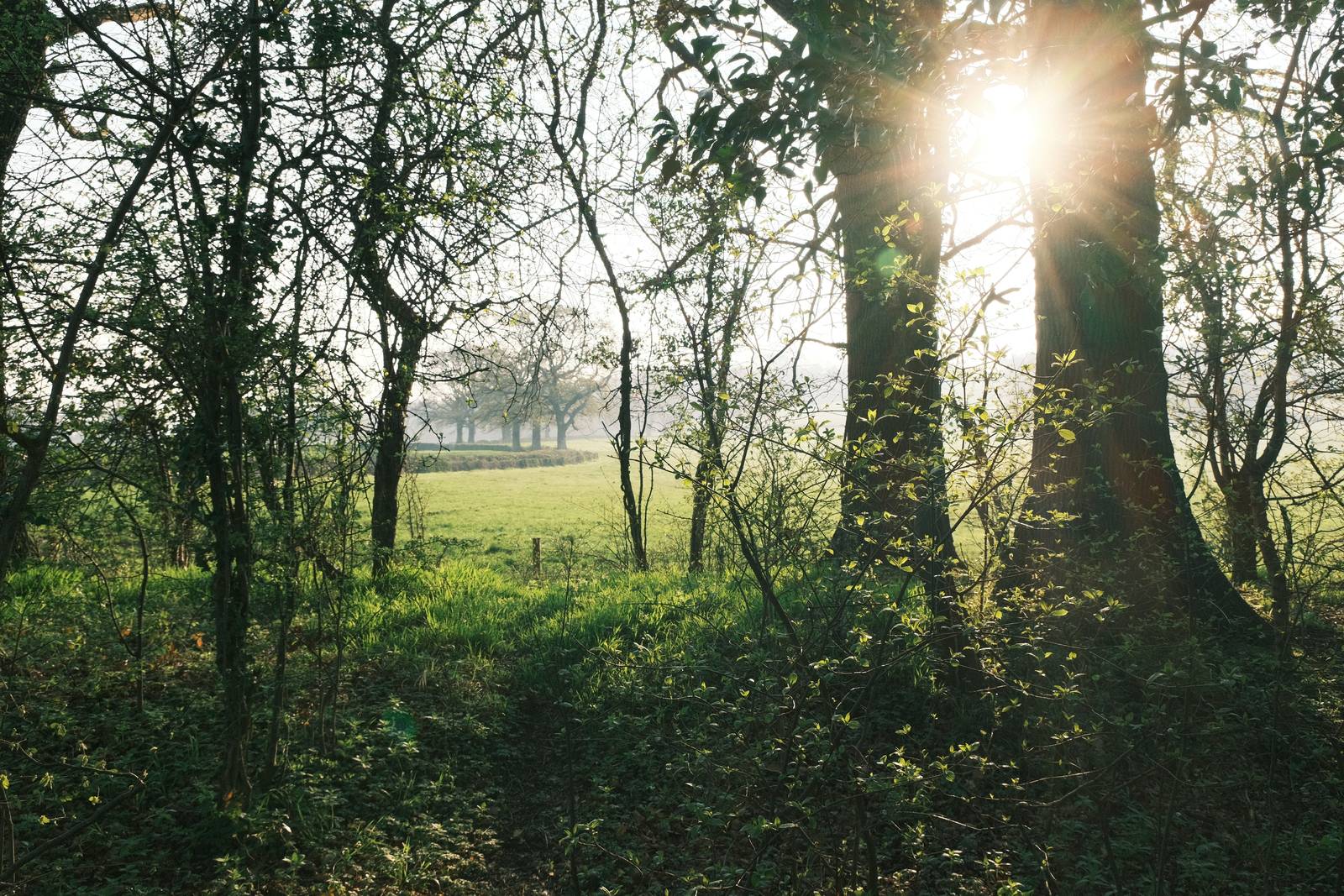 Fujicolor Superia 400 film recipe sample photo