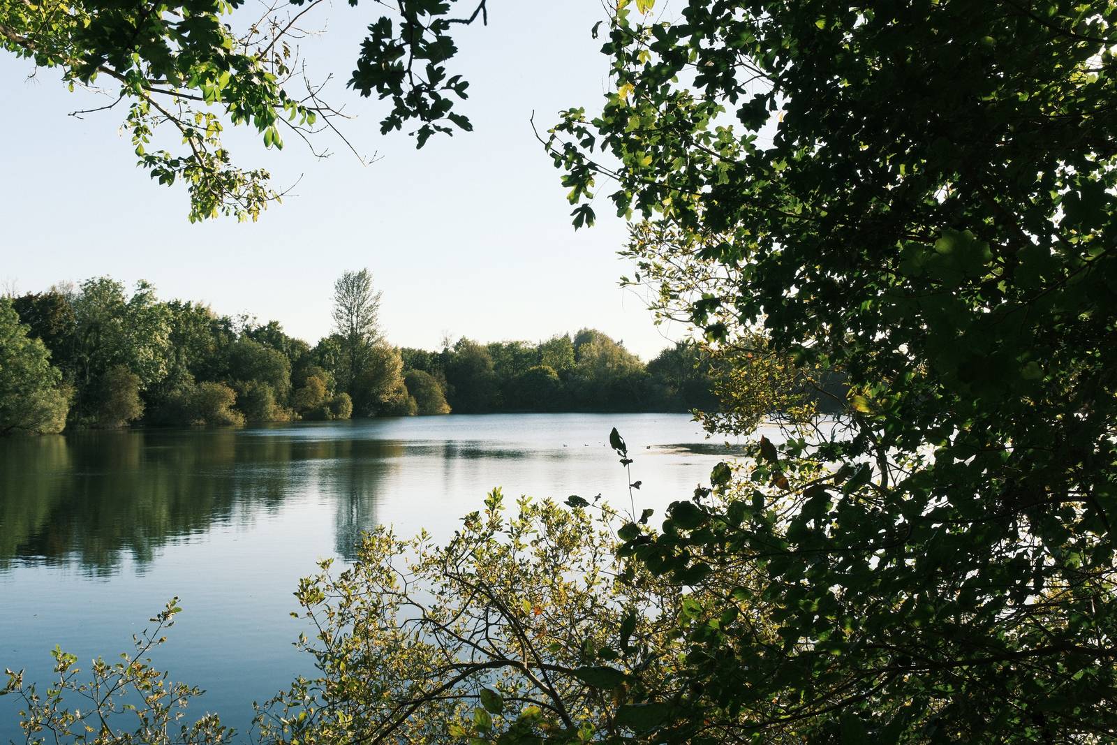 Fujicolor Superia 400 film recipe sample photo