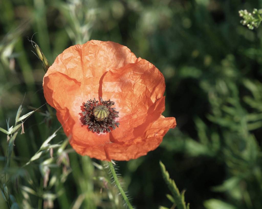 Eastman Color, Early Kodak 35mm&nbsp;Film