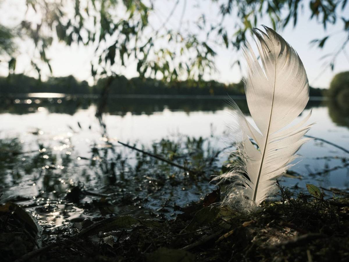 Fujicolor Superia 400 Film&nbsp;Recipe