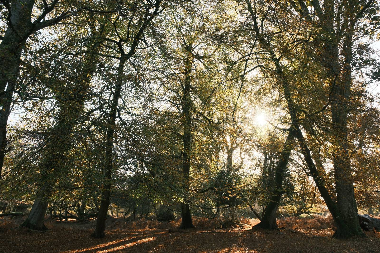 Fujicolor Superia 400 film recipe sample photo