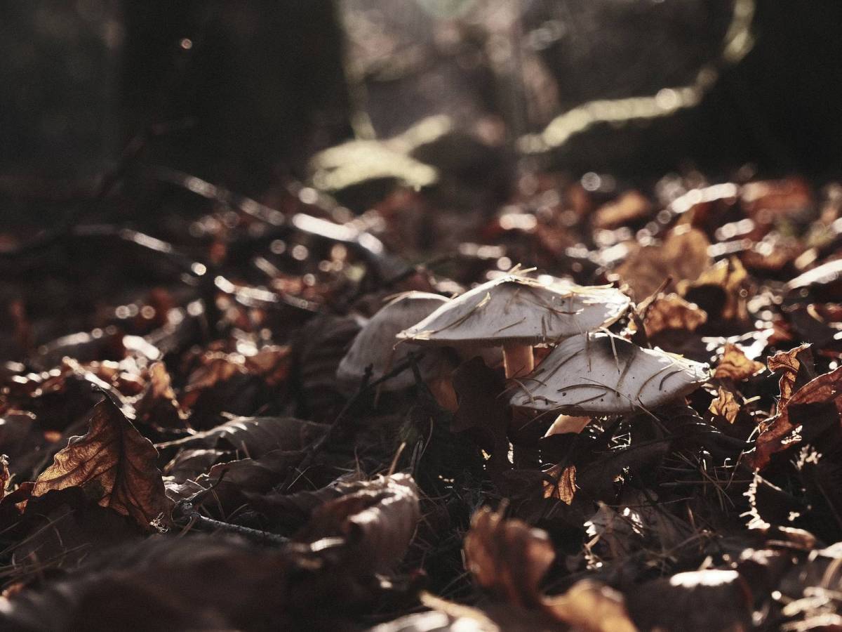 Ecowarrior, Packs a Punch&nbsp;Outdoors