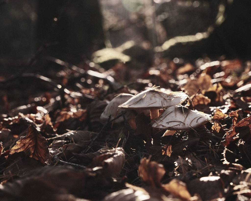 Ecowarrior, Packs a Punch&nbsp;Outdoors