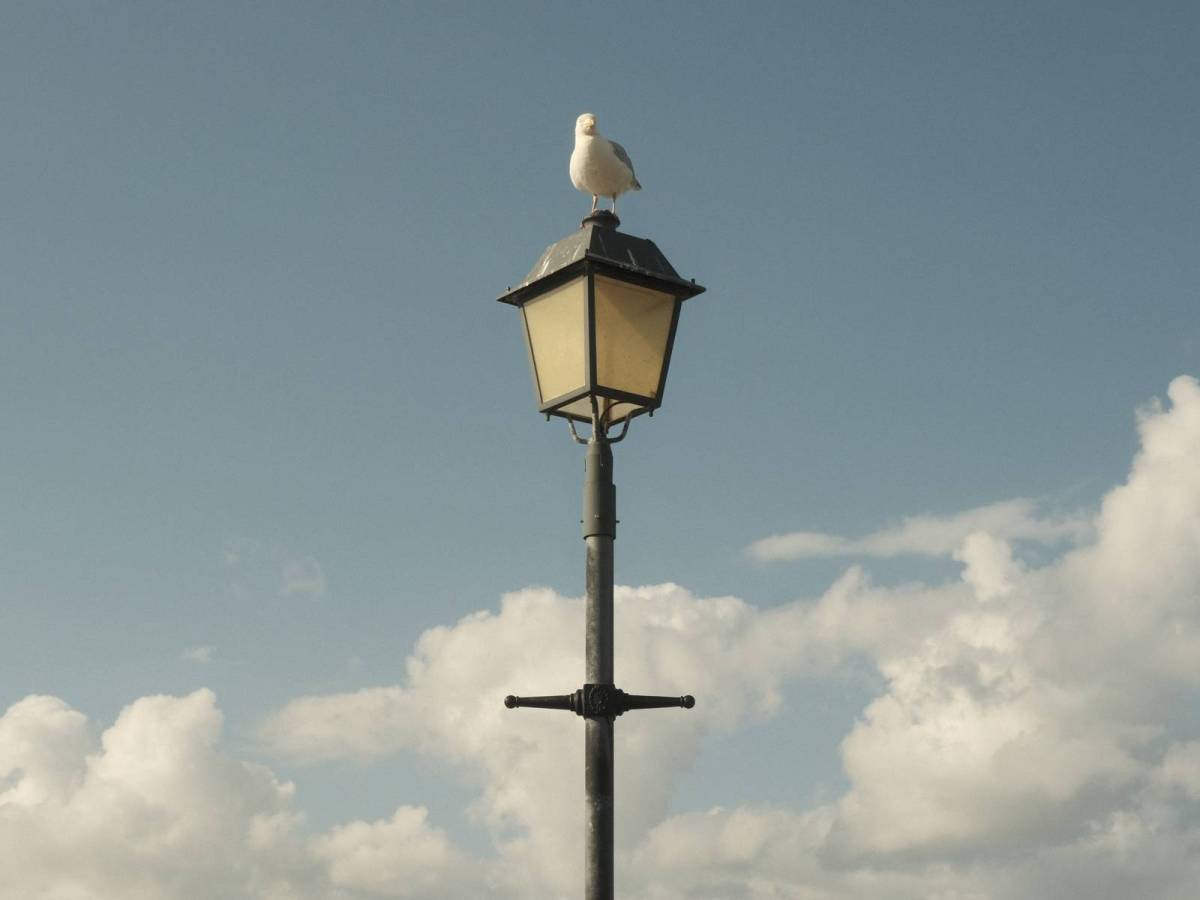 Kodak Portra 400, Classic Film&nbsp;Recipe