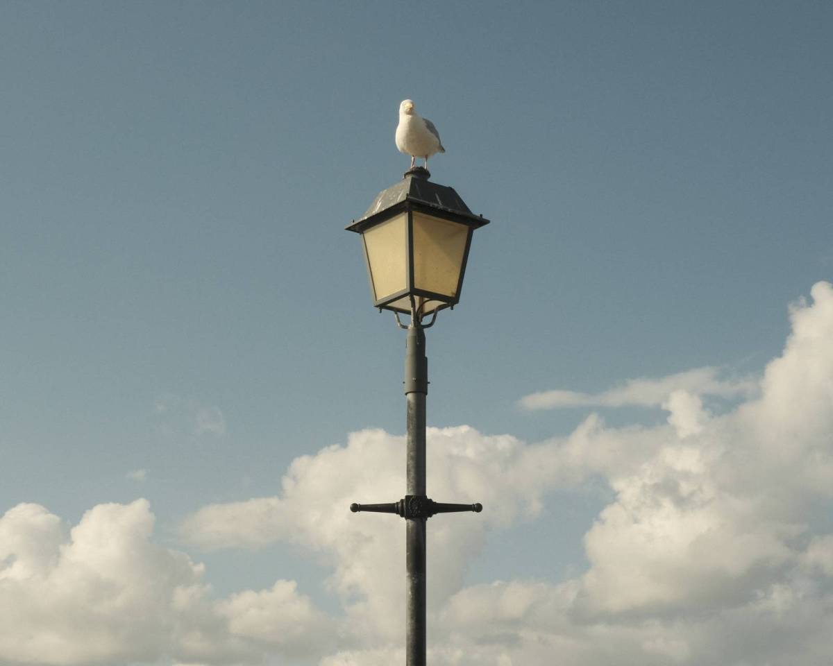 Kodak Portra 400, Classic Film&nbsp;Recipe