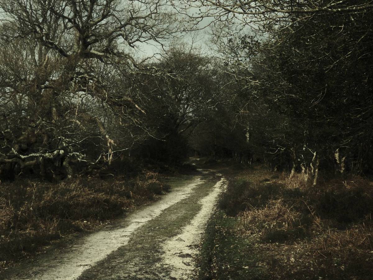 Barbour Green, Deep Mood Film&nbsp;Recipe