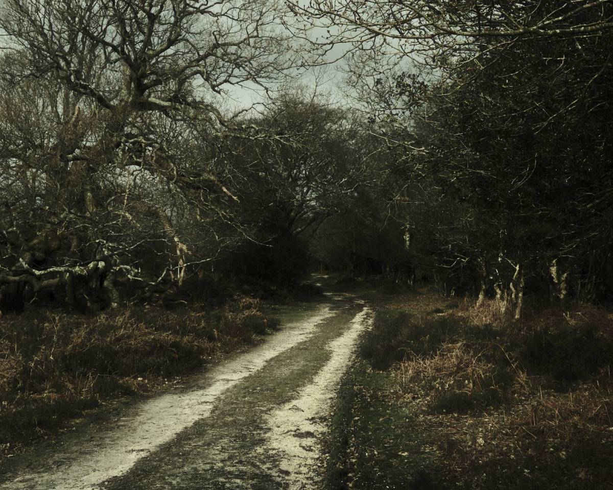 Barbour Green, Deep Mood Film&nbsp;Recipe