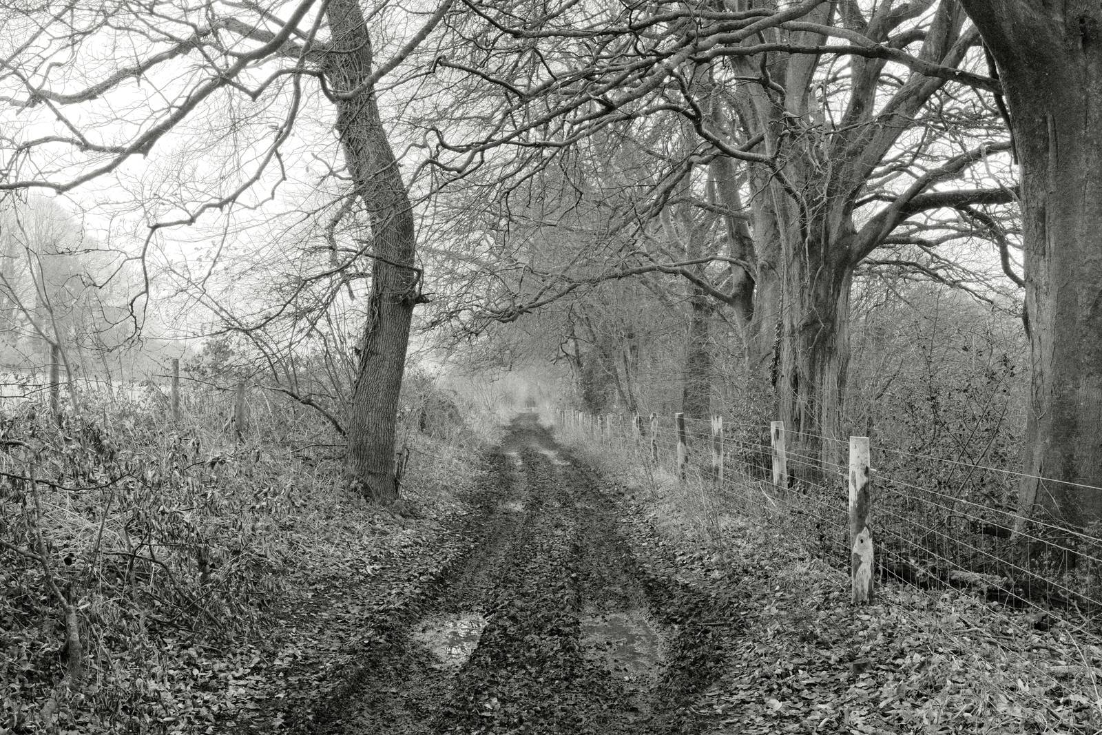 Wilford HG film recipe sample photo