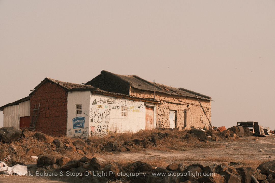 Classic Gold film recipe photo by Neville Bulsara