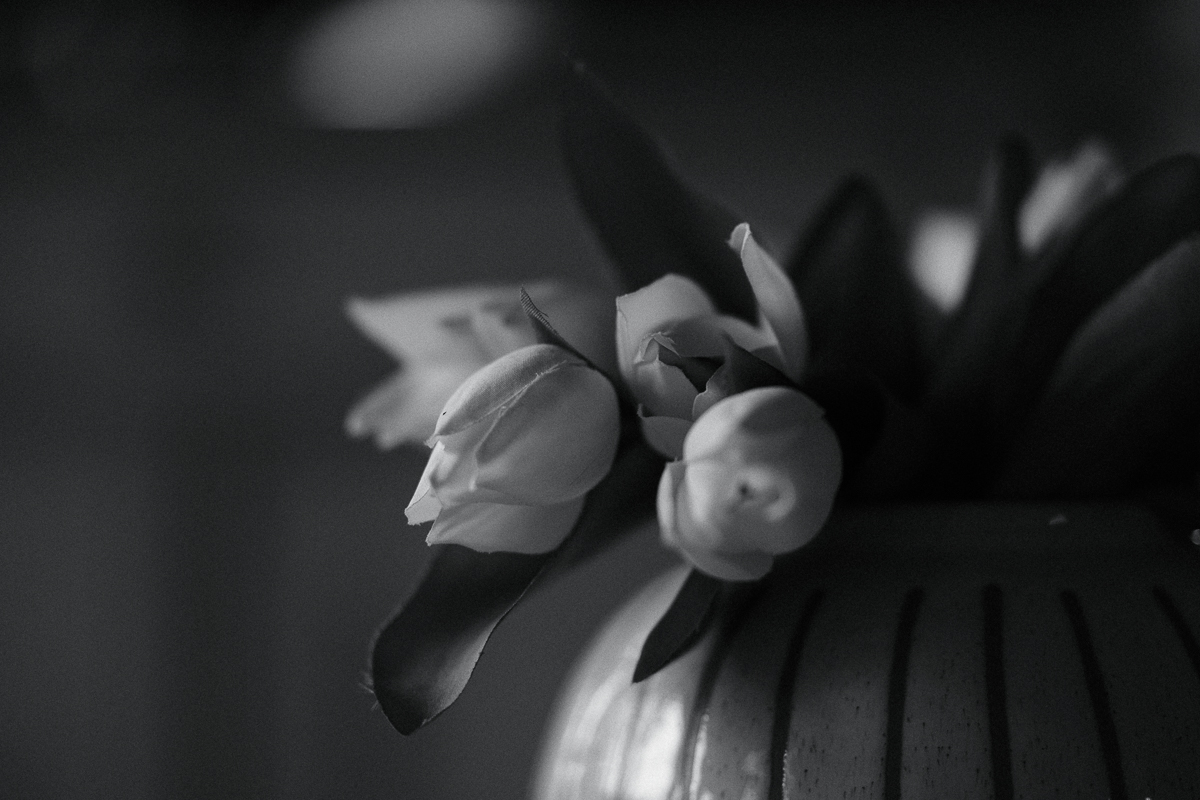 Agfa APX 400 film recipe photo by Andrea Braun
