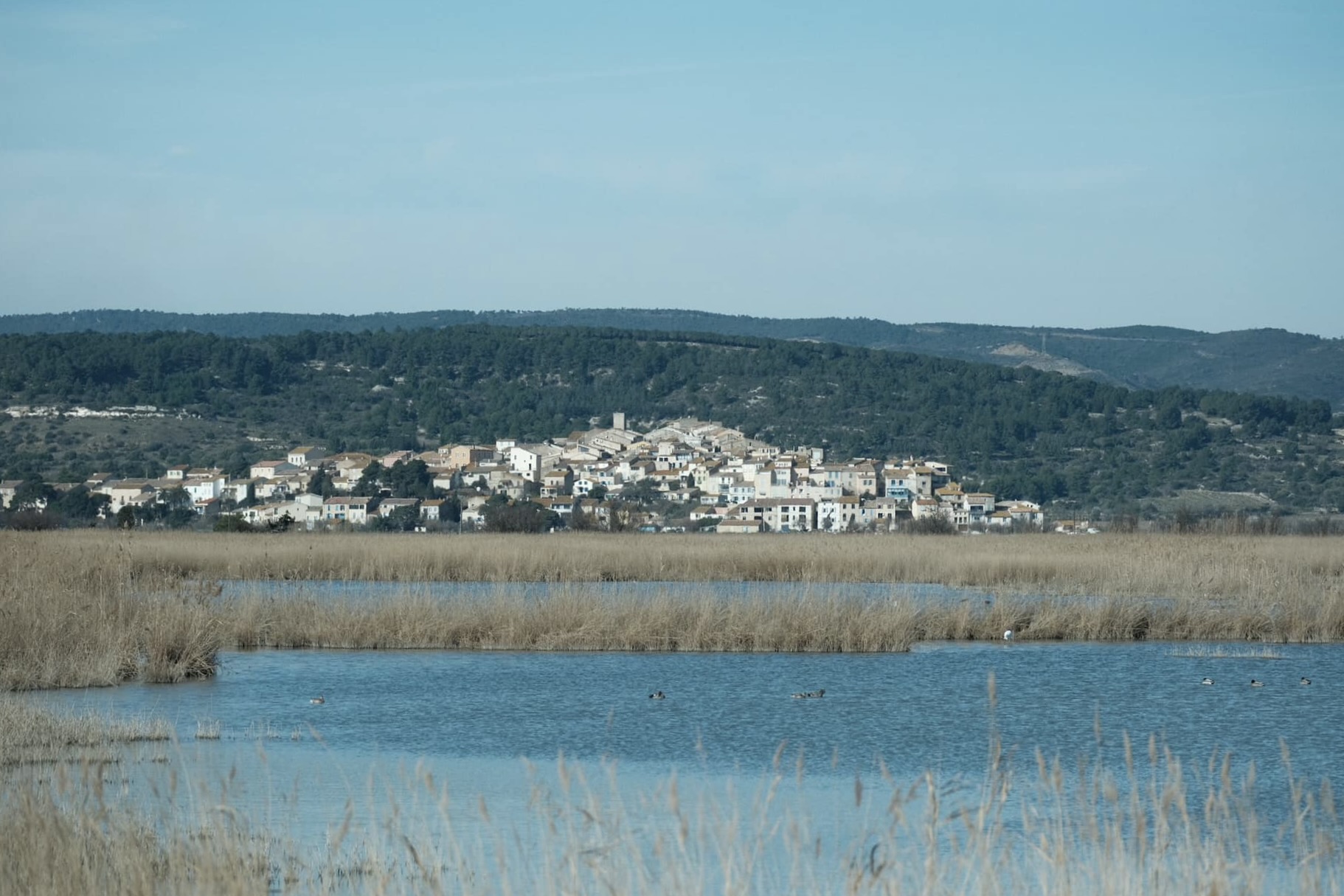 Eastman Color film recipe photo by David Forsdike