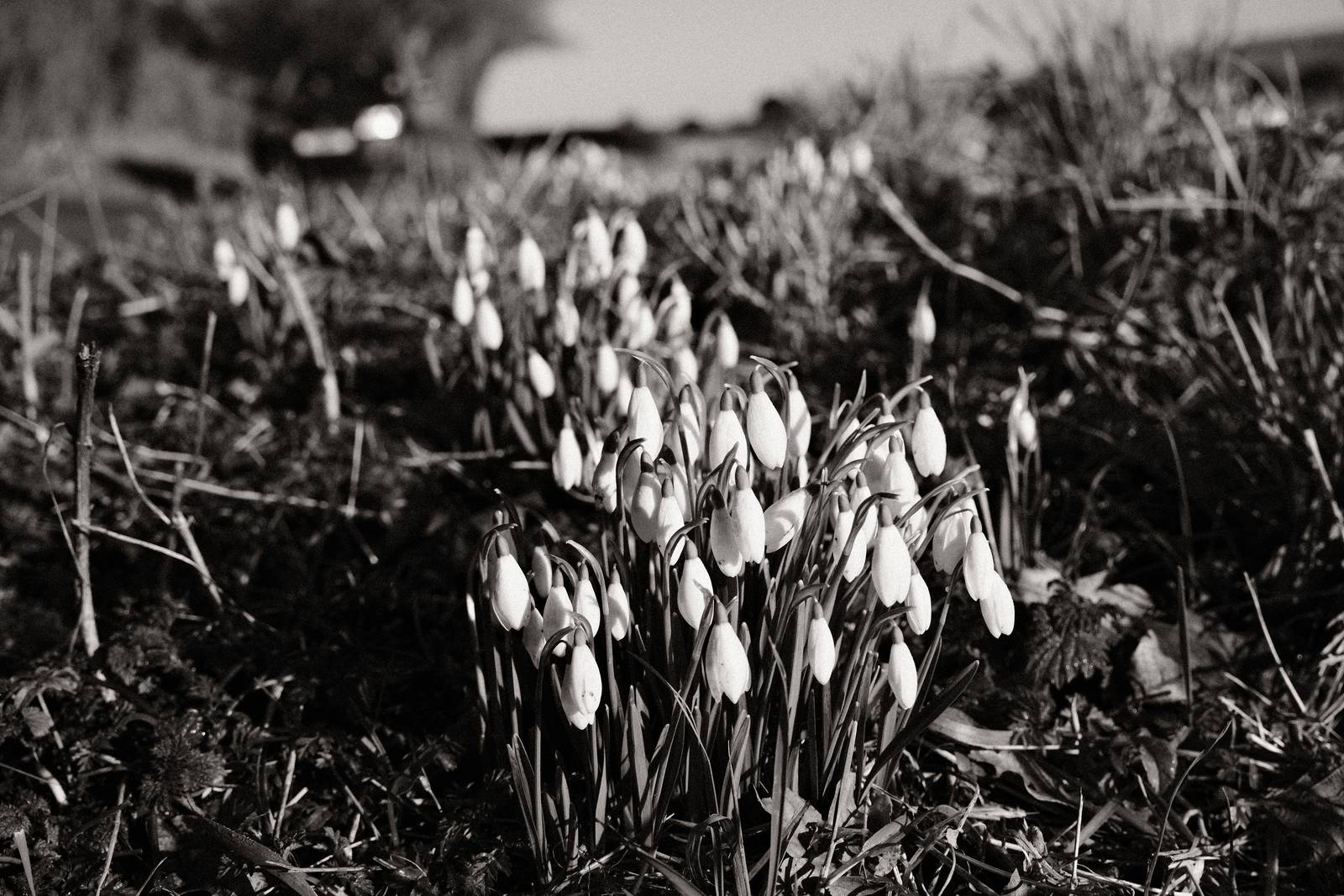 Newsprint film recipe sample photo