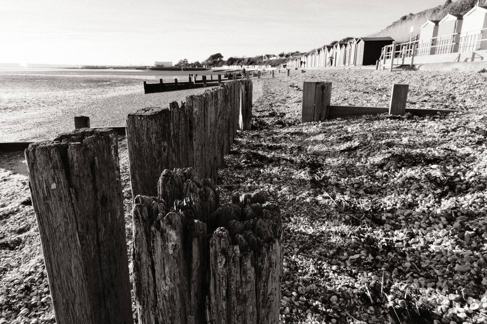 Newsprint film recipe sample photo