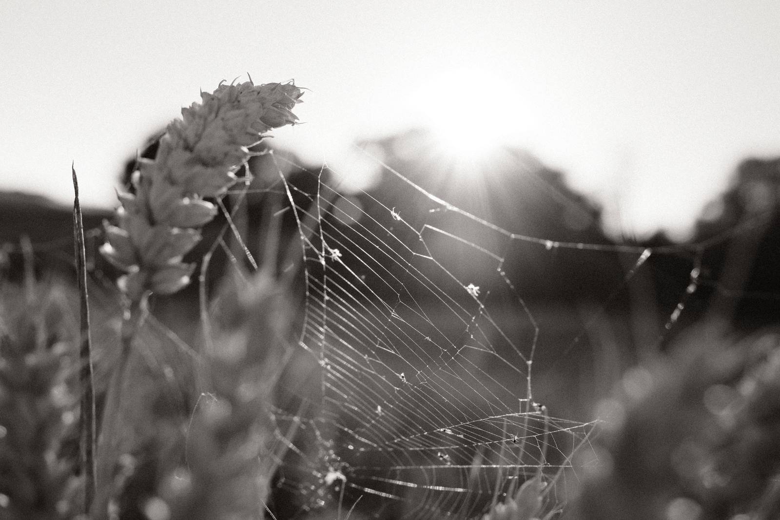 Newsprint film recipe sample photo