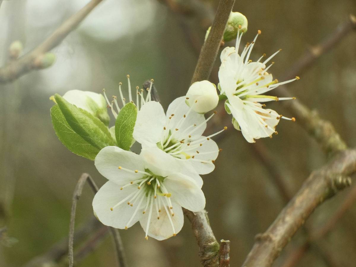 Oxygen, Fresh Air Spring Film&nbsp;Recipe