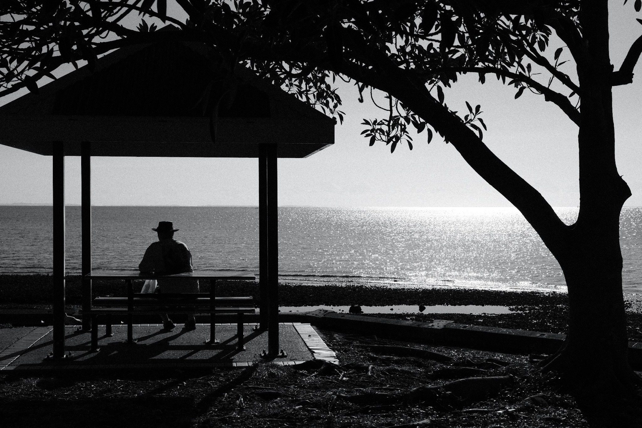 Agfa APX 400 film recipe photo by Darren Urda