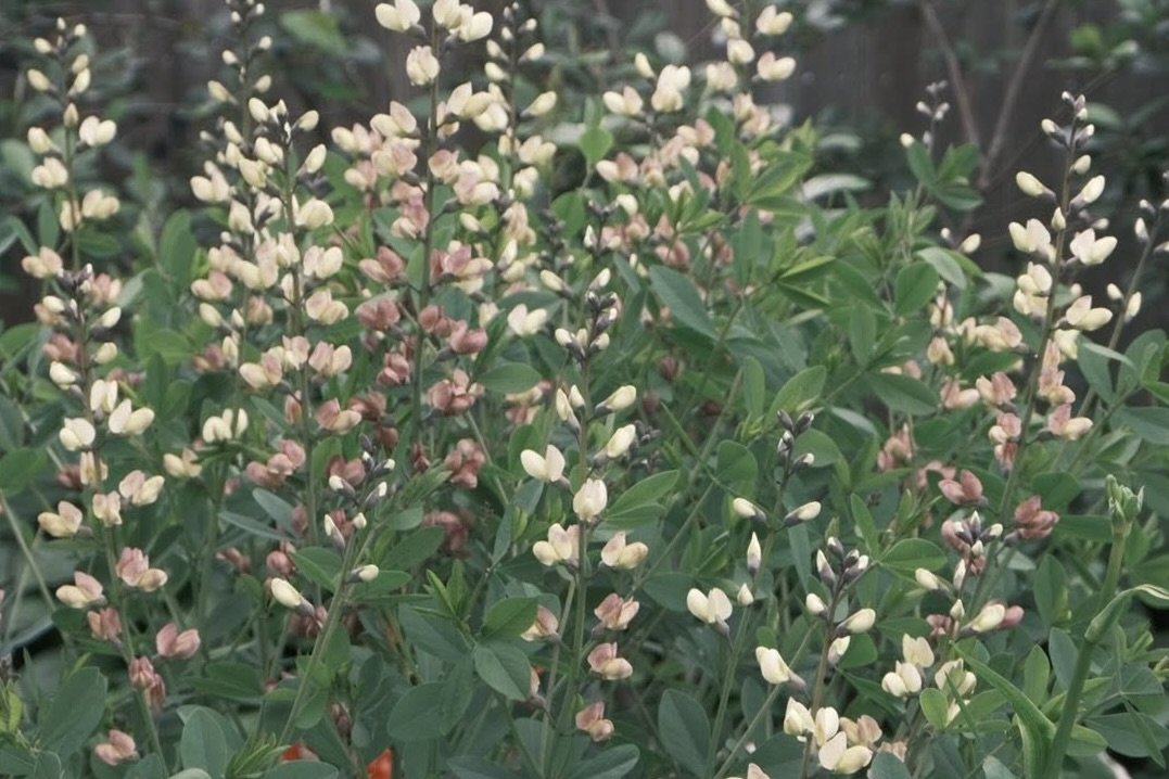 Polaroid SX70 film recipe photo by Emlyn H Jones