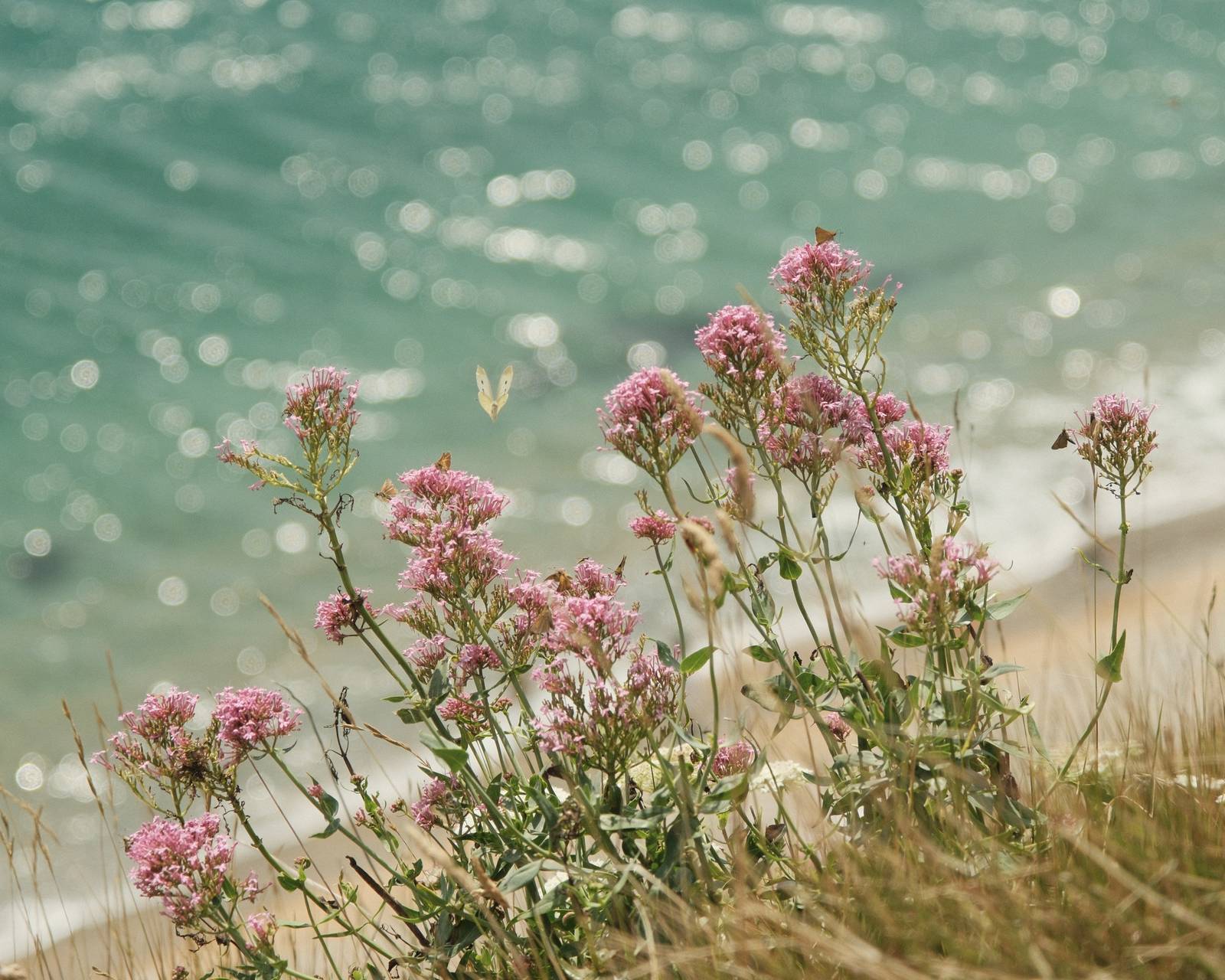 Absolute Portra – My Best Kodak Portra Film Recipe