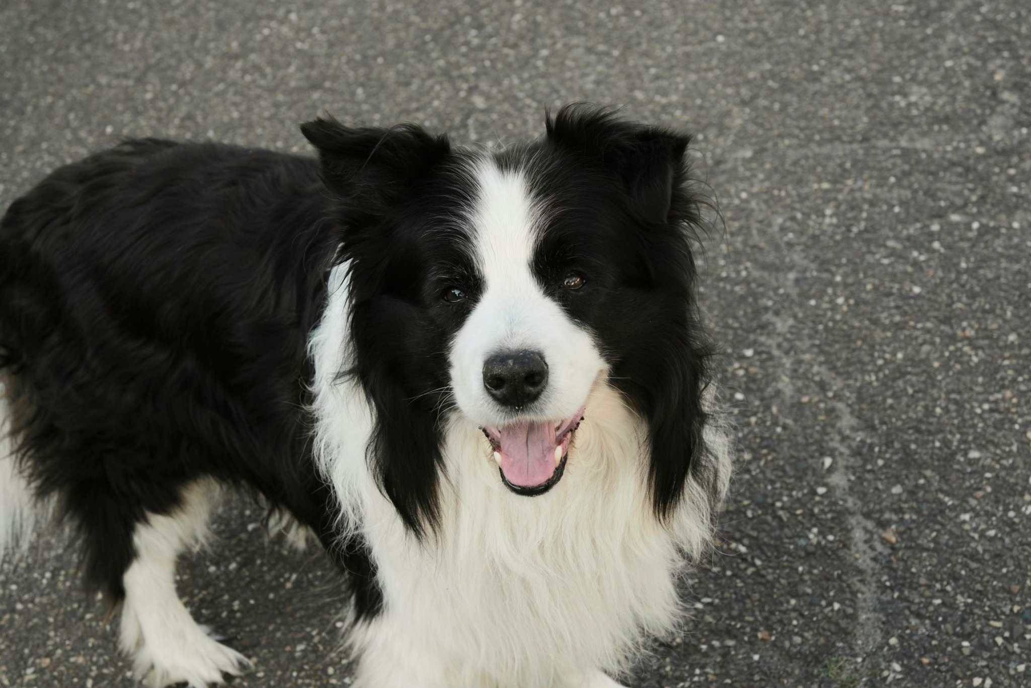 Gold Standard film recipe photo by Gunther Geeraerts