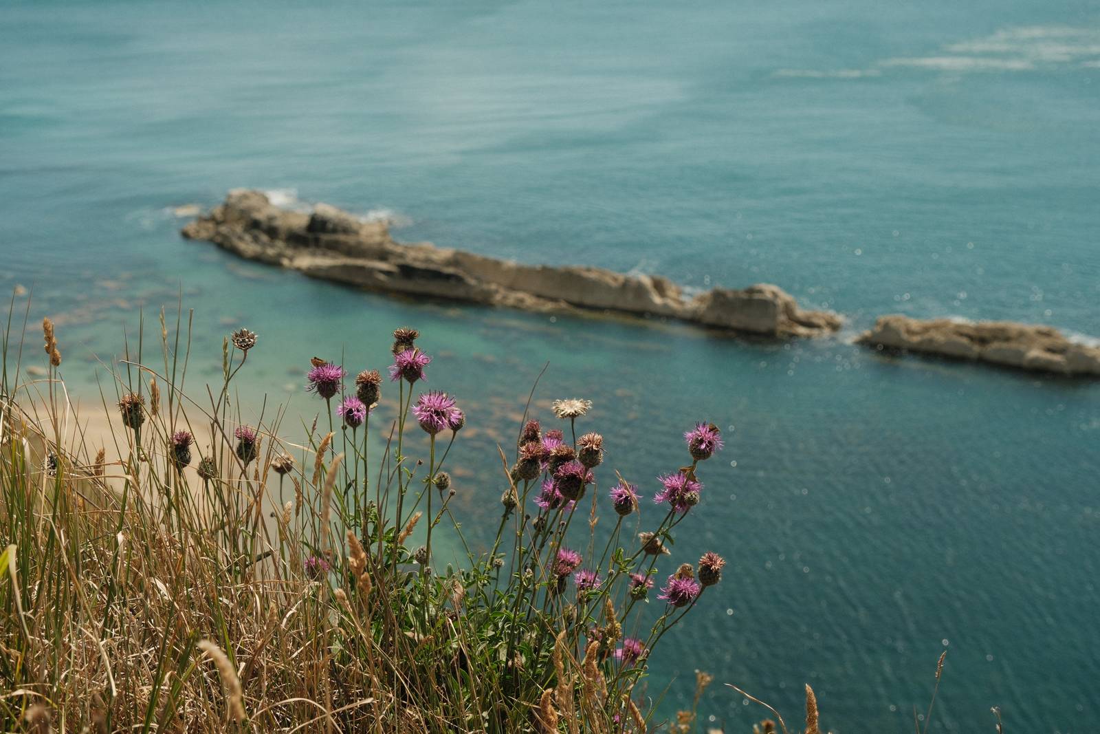 Absolute Portra film recipe sample photo