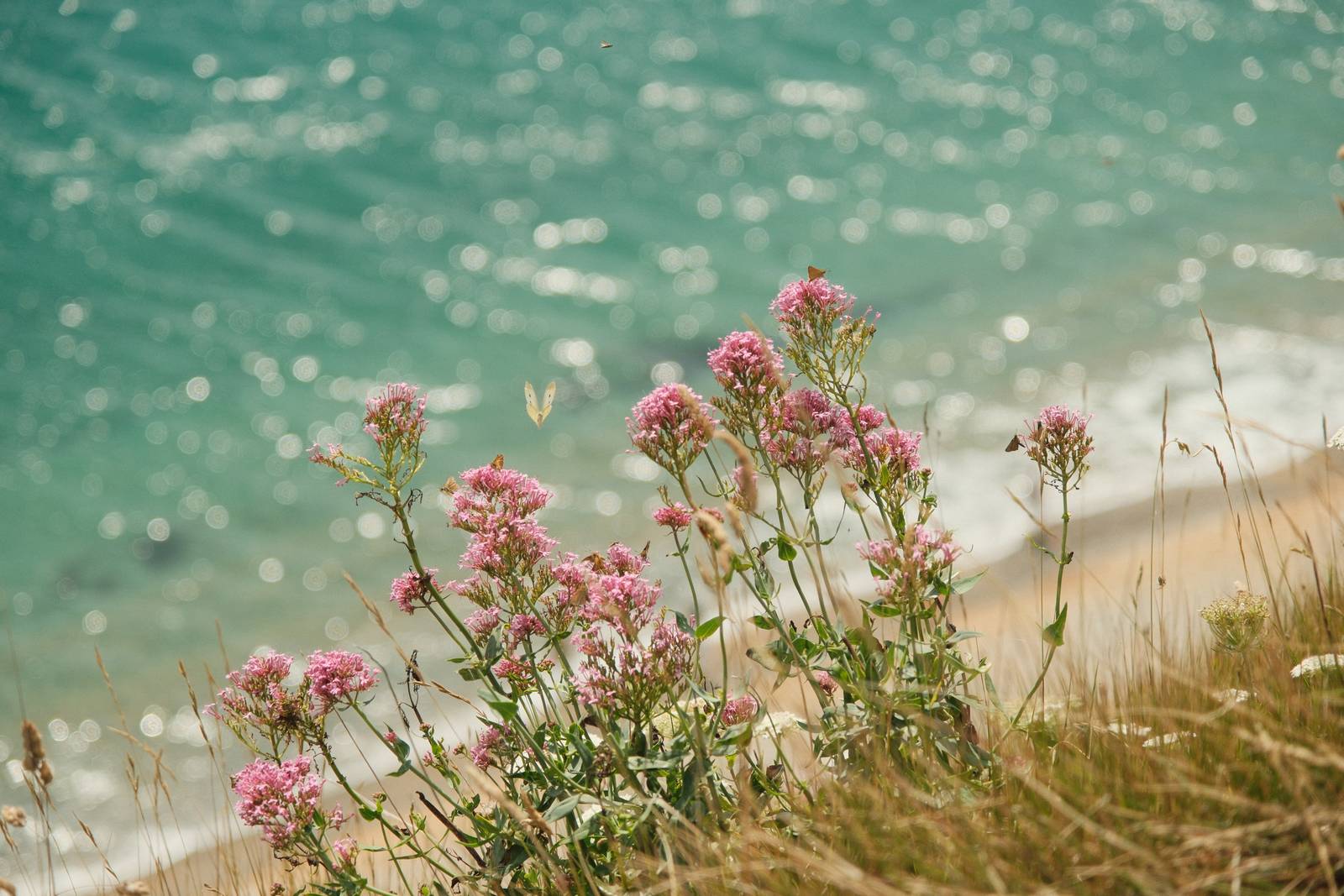 Absolute Portra film recipe sample photo