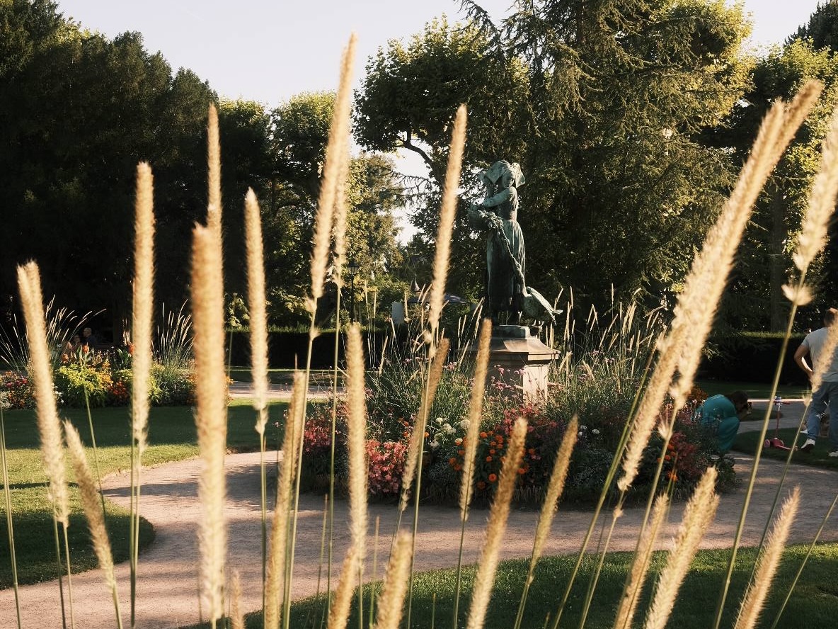 Dreamland film recipe photo by Sacha Maillot