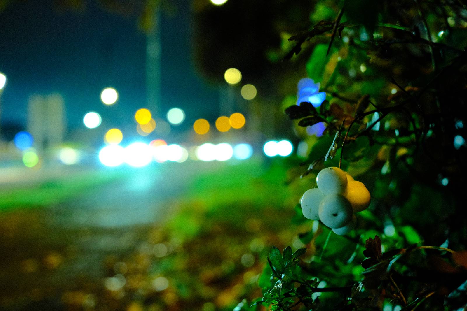 Nightwalker film recipe sample photo