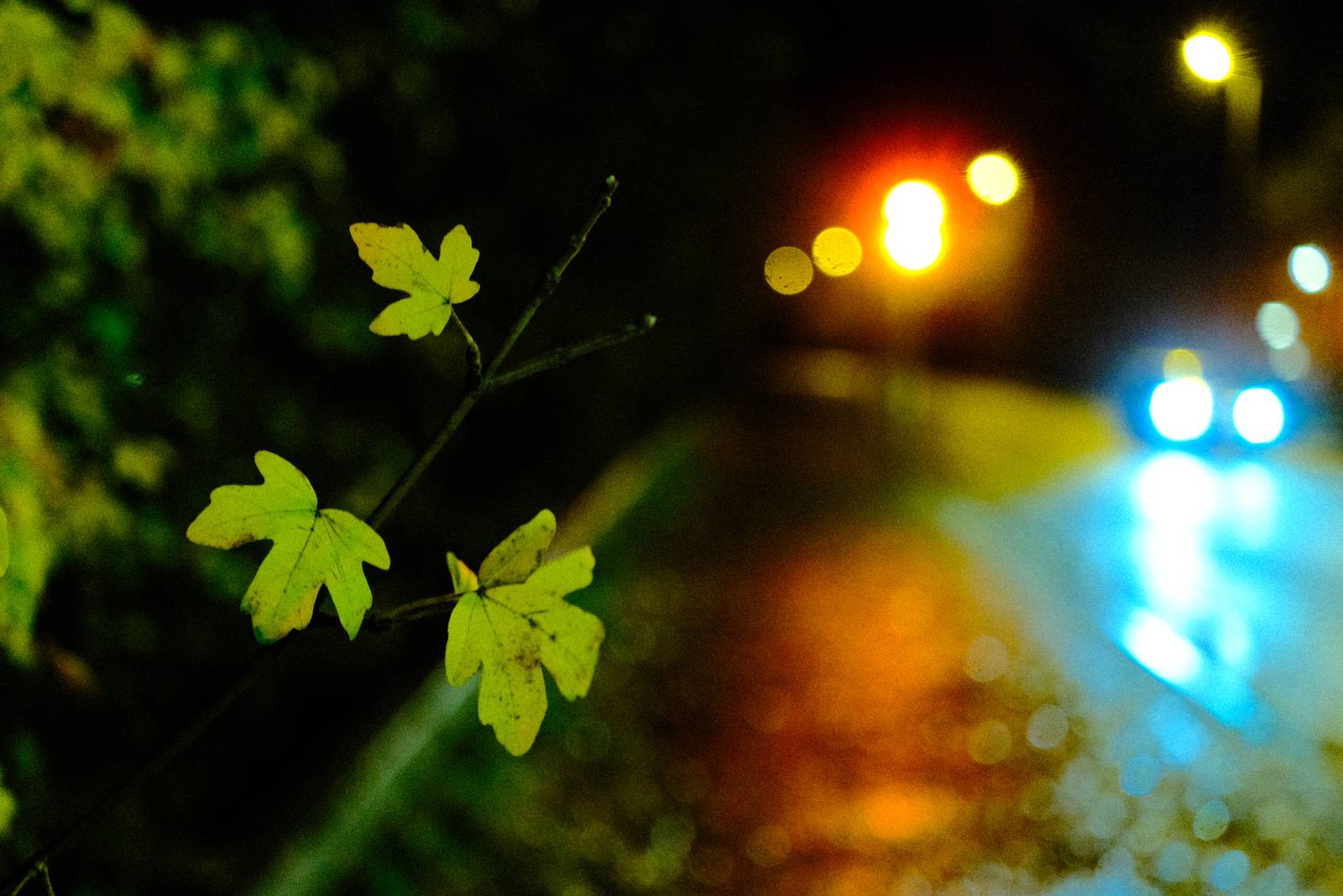 Nightwalker film recipe sample photo