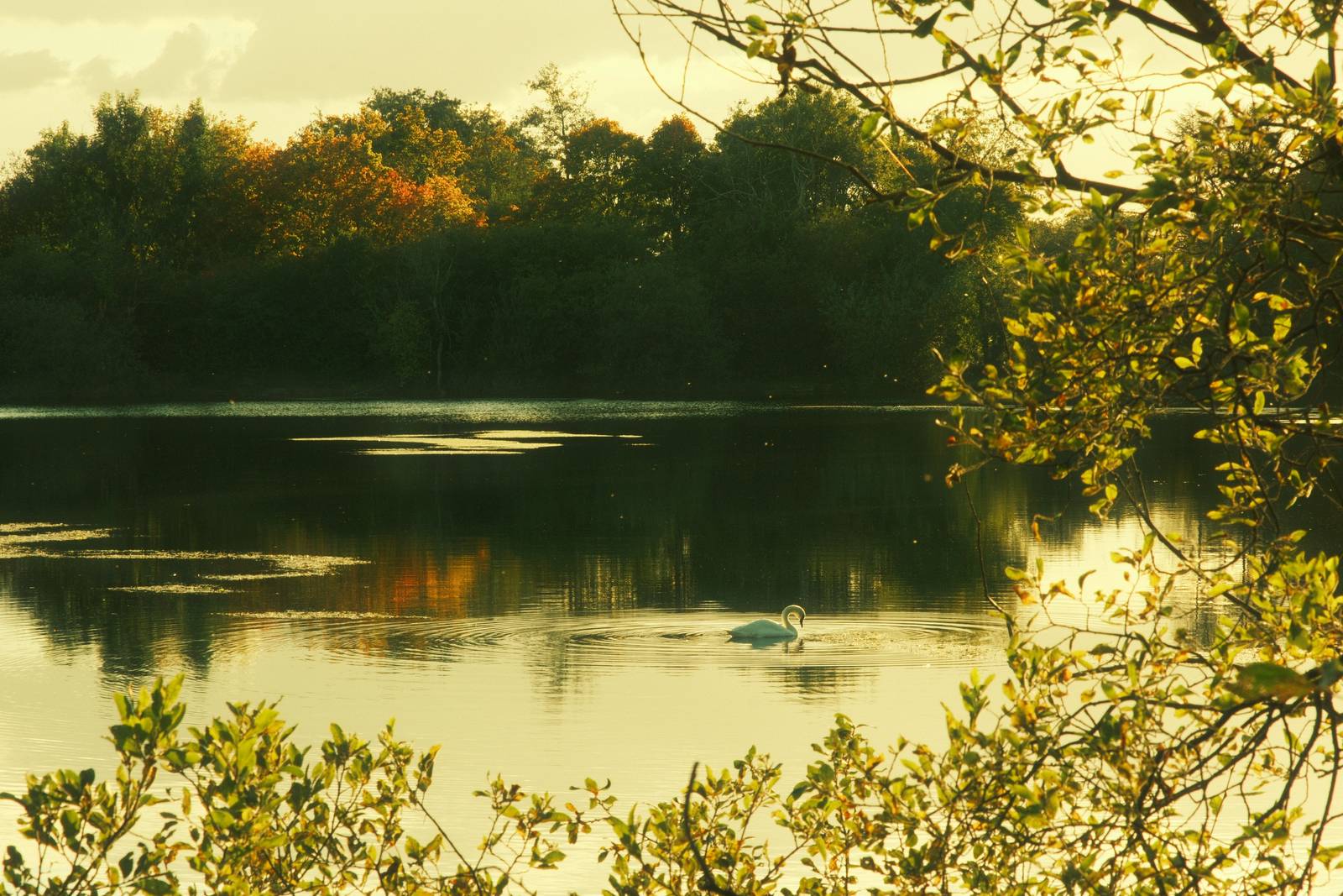 Sunset Strip E6 film recipe sample photo