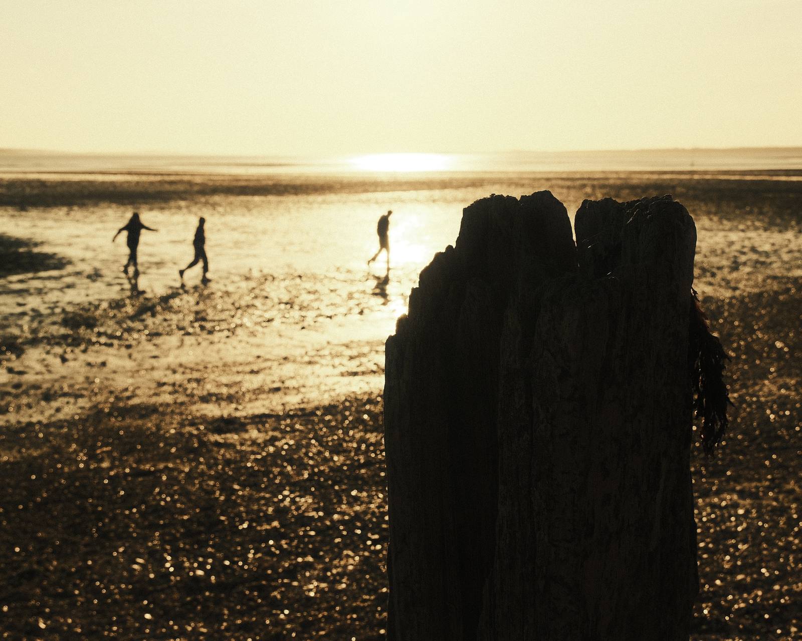 XXO Gold film recipe