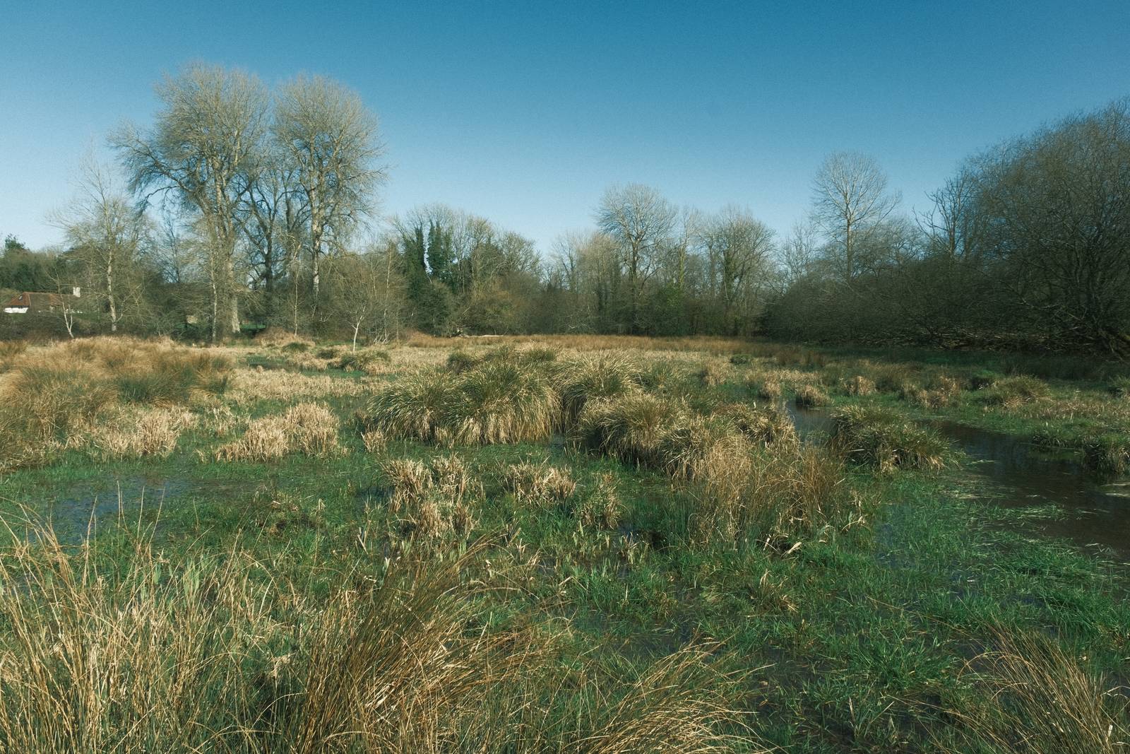 Fujicolor Natura film recipe photo by Justin Gould