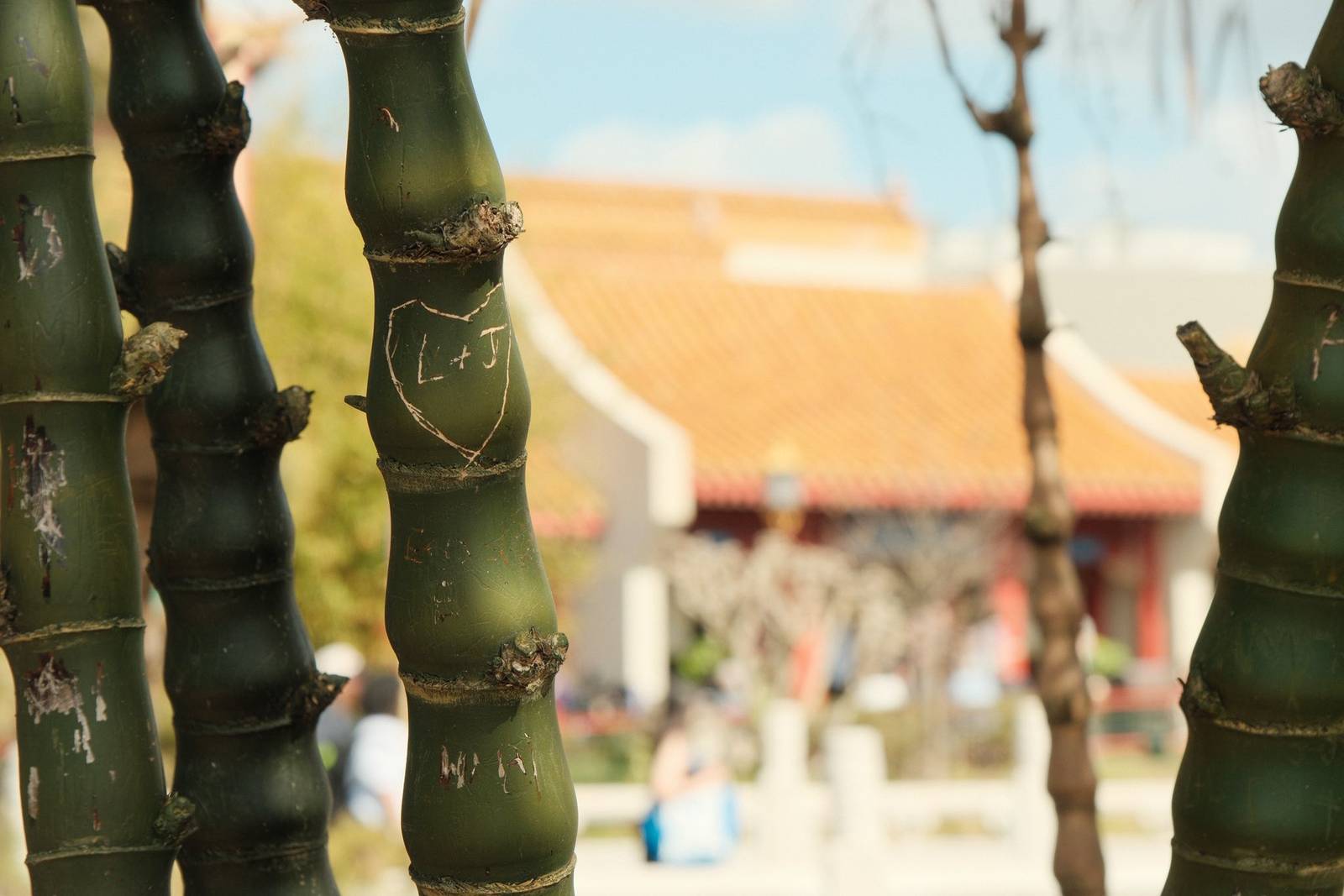 Absolute Portra film recipe photo by Cristina Beltran