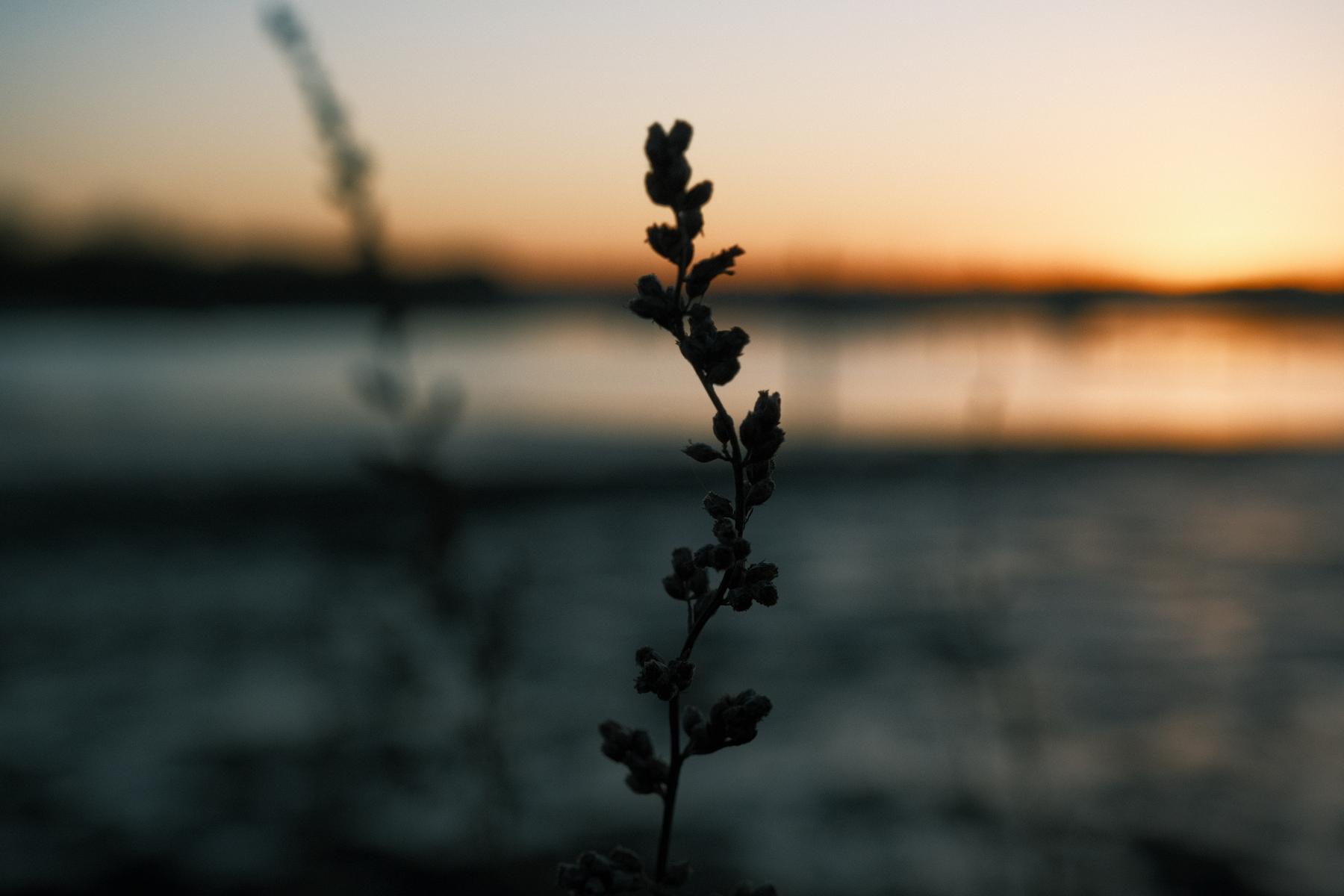 Bluegrass film recipe sample photo