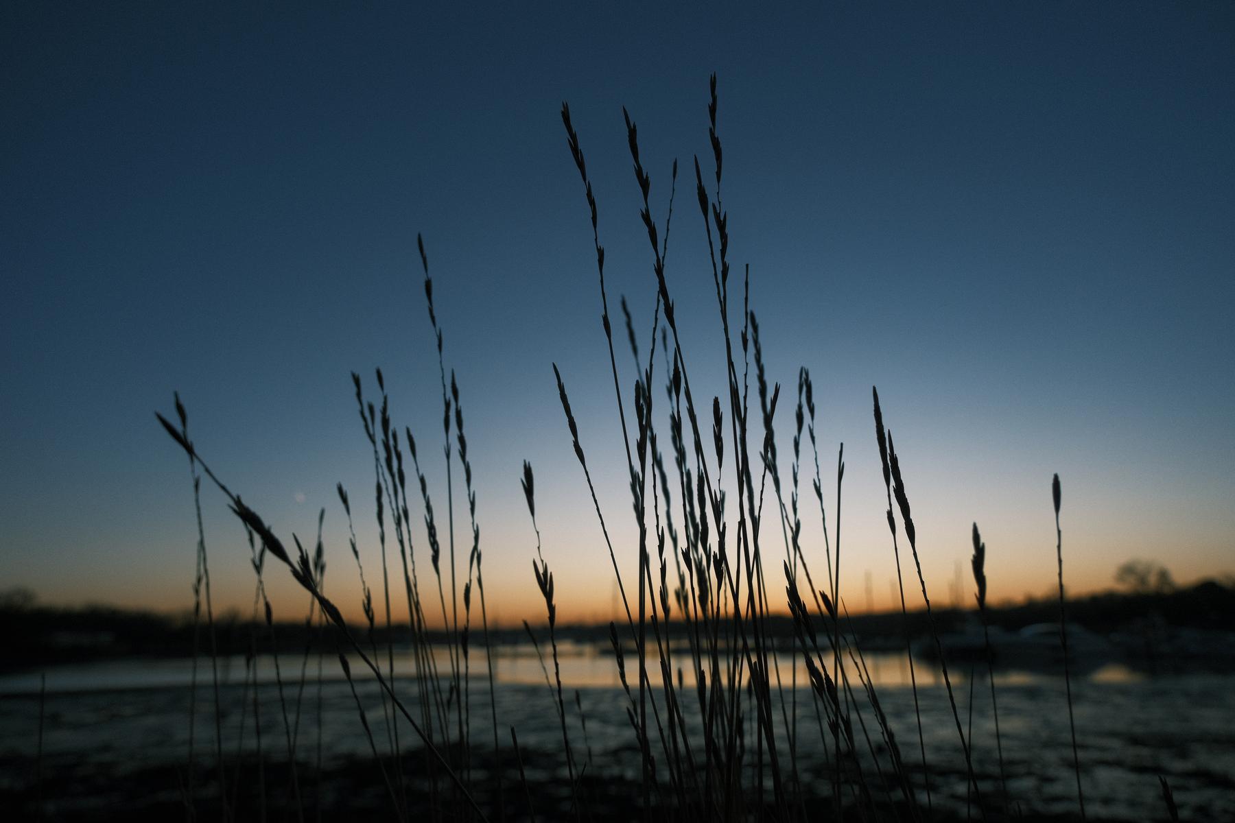 Bluegrass film recipe sample photo