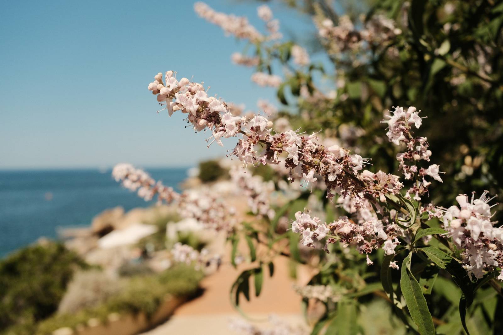 Kodak Gold II film recipe sample photo