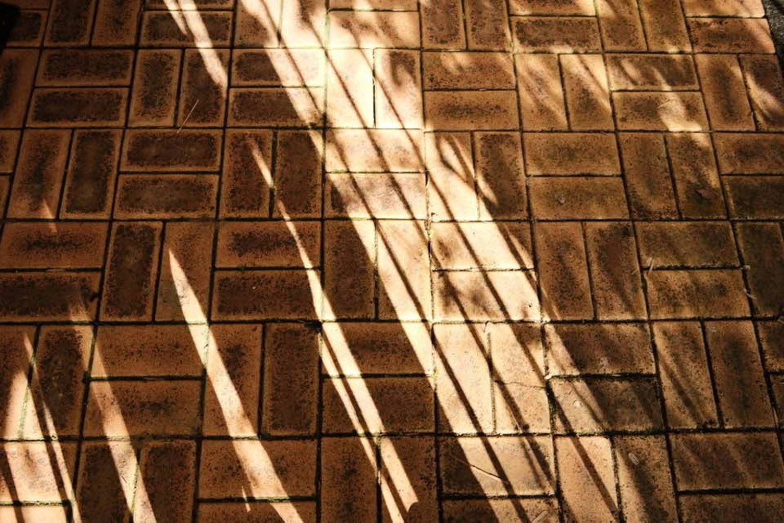 Kodak Gold II film recipe photo by Denis Jaculli