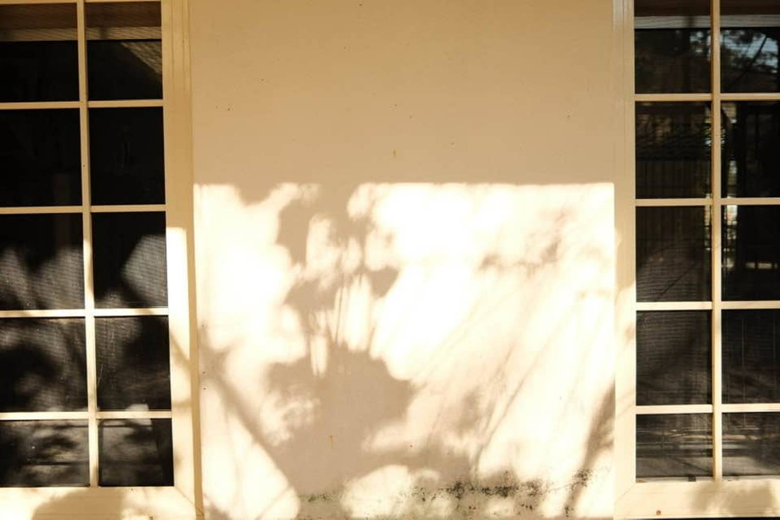 Kodak Gold II film recipe photo by Denis Jaculli