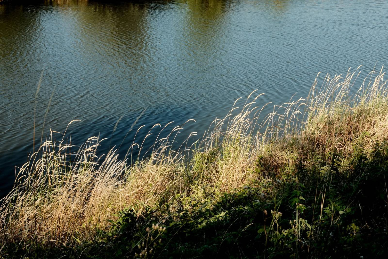 Kodak Gold II film recipe photo by Roman Pastierik